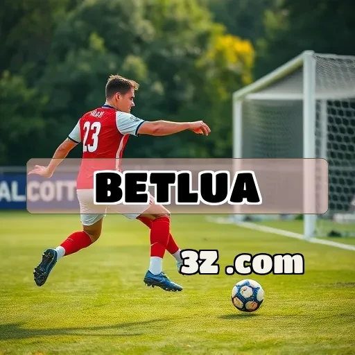 bet lua Avaliações